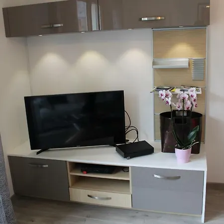 Magnifique Centre-ville 2 Pieces 45 M2 Tres Calme Apartment *