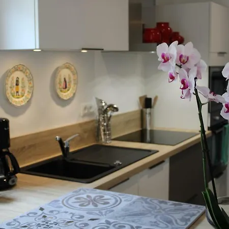 Apartment Magnifique Centre-ville 2 Pieces 45 M2 Tres Calme